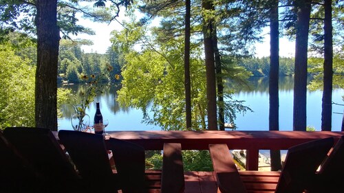 Magical Lakefront Home in Forest Lake