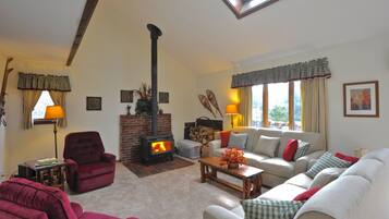 Smart TV, fireplace, DVD player, video library