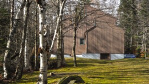 A modern wooden cabin surrounded by birch trees in a forest.