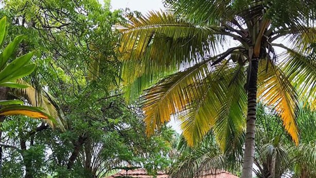 Front of property - Twitter Paradise Guest House (Elmina)