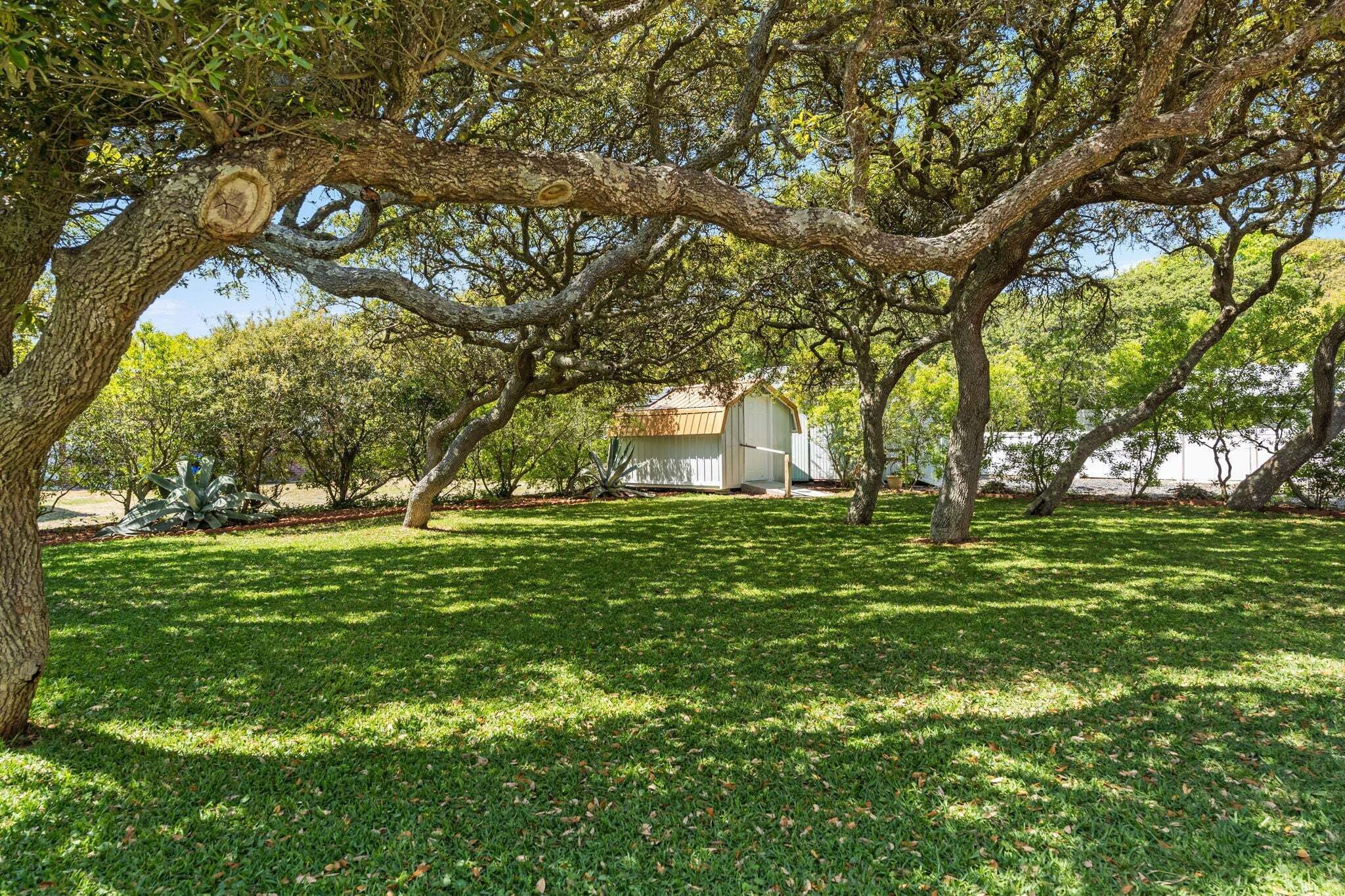 Une cour bordée d’arbres, avec un bâtiment en arrière-plan.