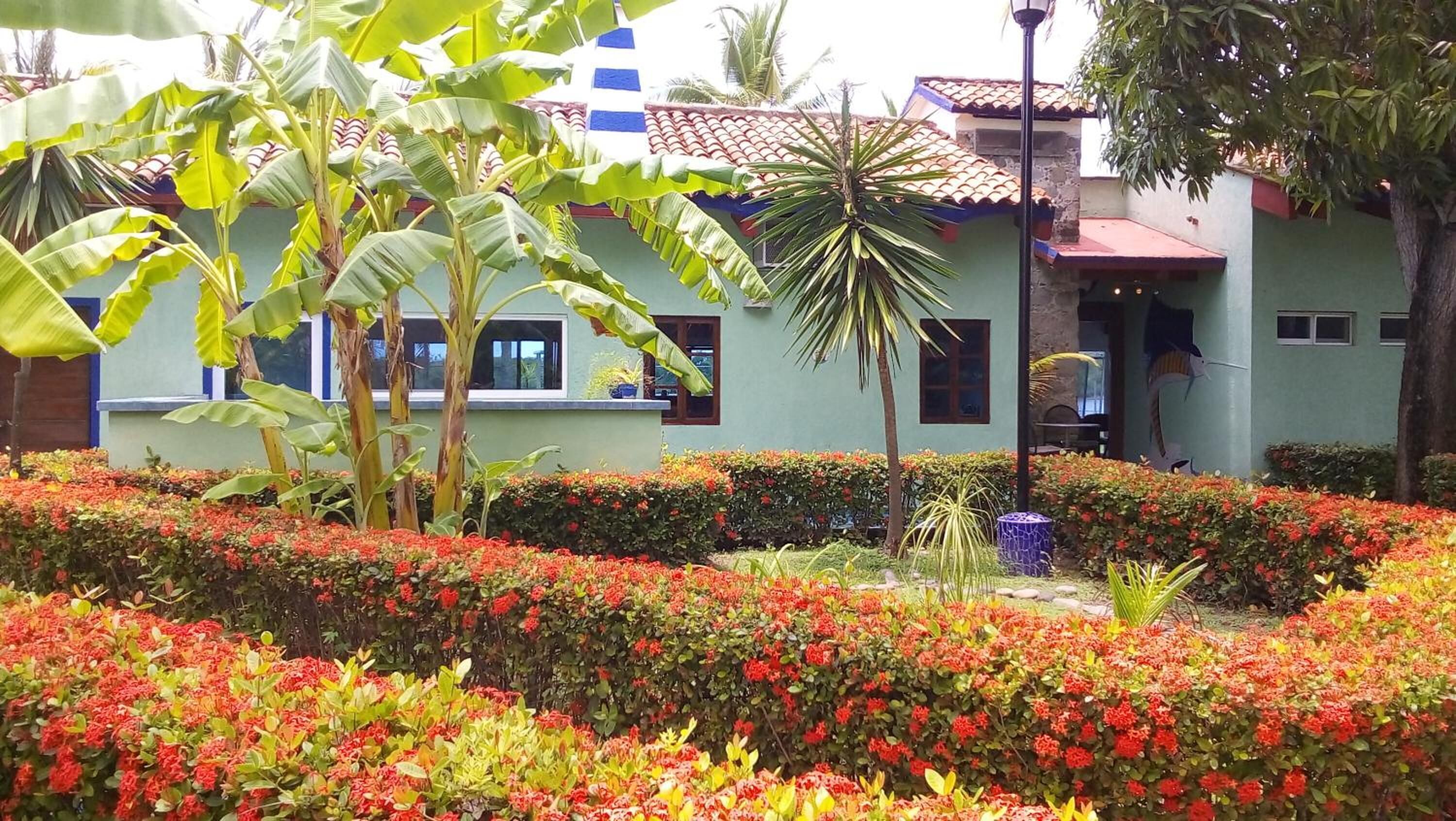 Khuôn viên nơi lưu trú