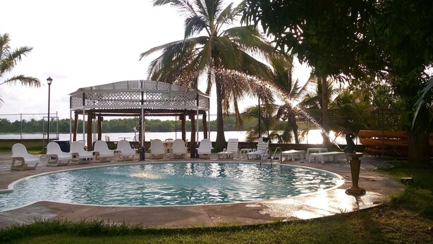 A circular pool with lounge chairs and a gazebo, surrounded by palm trees and a view of a body of water.