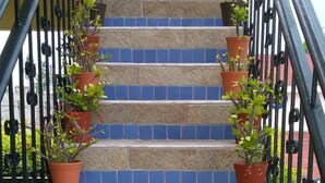 A staircase with blue tiles and potted plants on both sides. - Hotel Posada del Rey (San Blas)