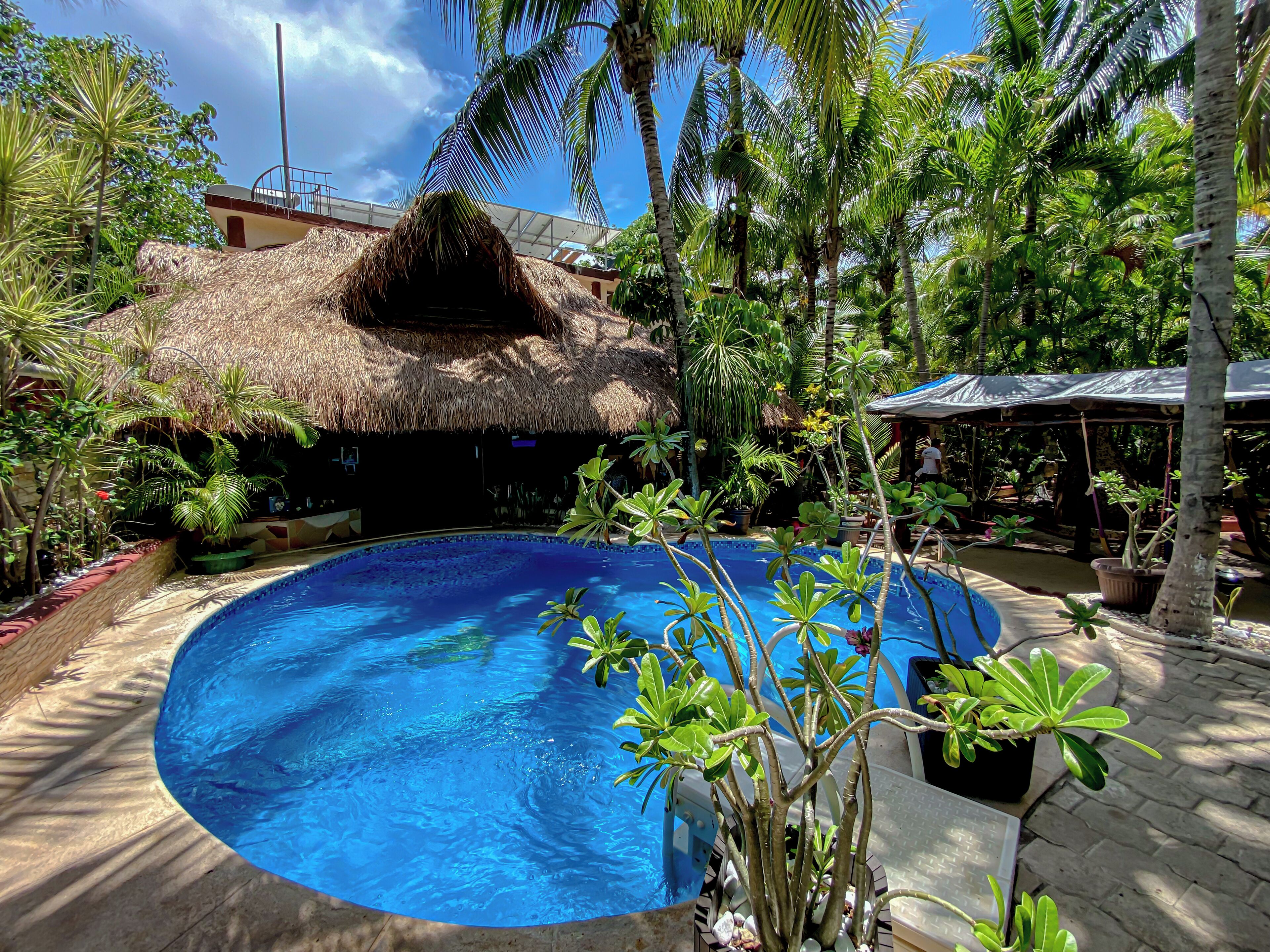 Foto - Cocos Cabañas Playa del Carmen Adults Only