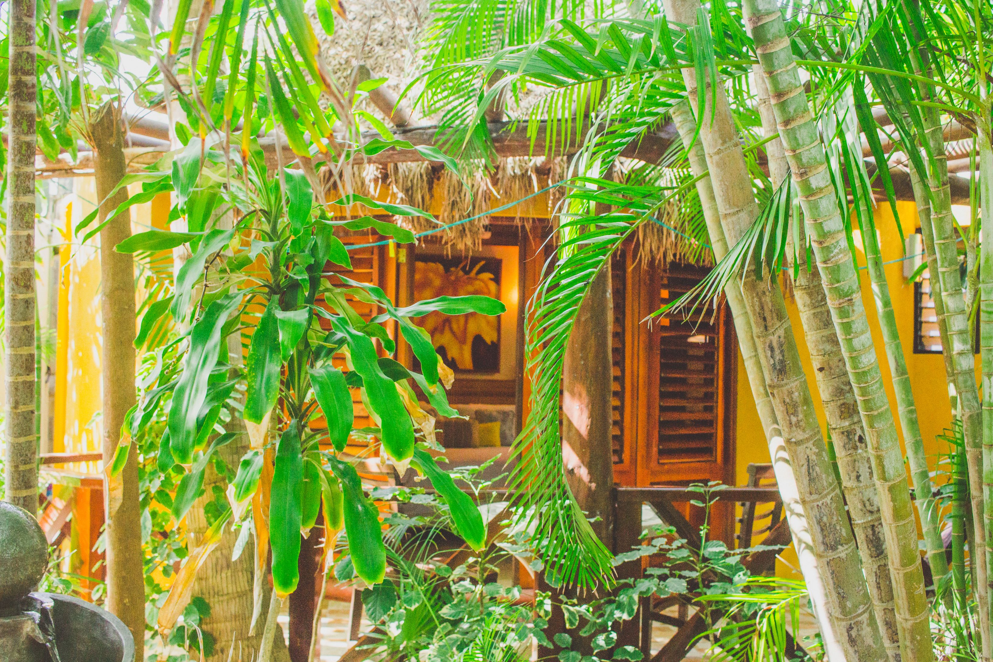 Queen Boutique Amarilla | 1 chambre, literie de qualité supérieure