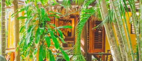 Queen Boutique Amarilla