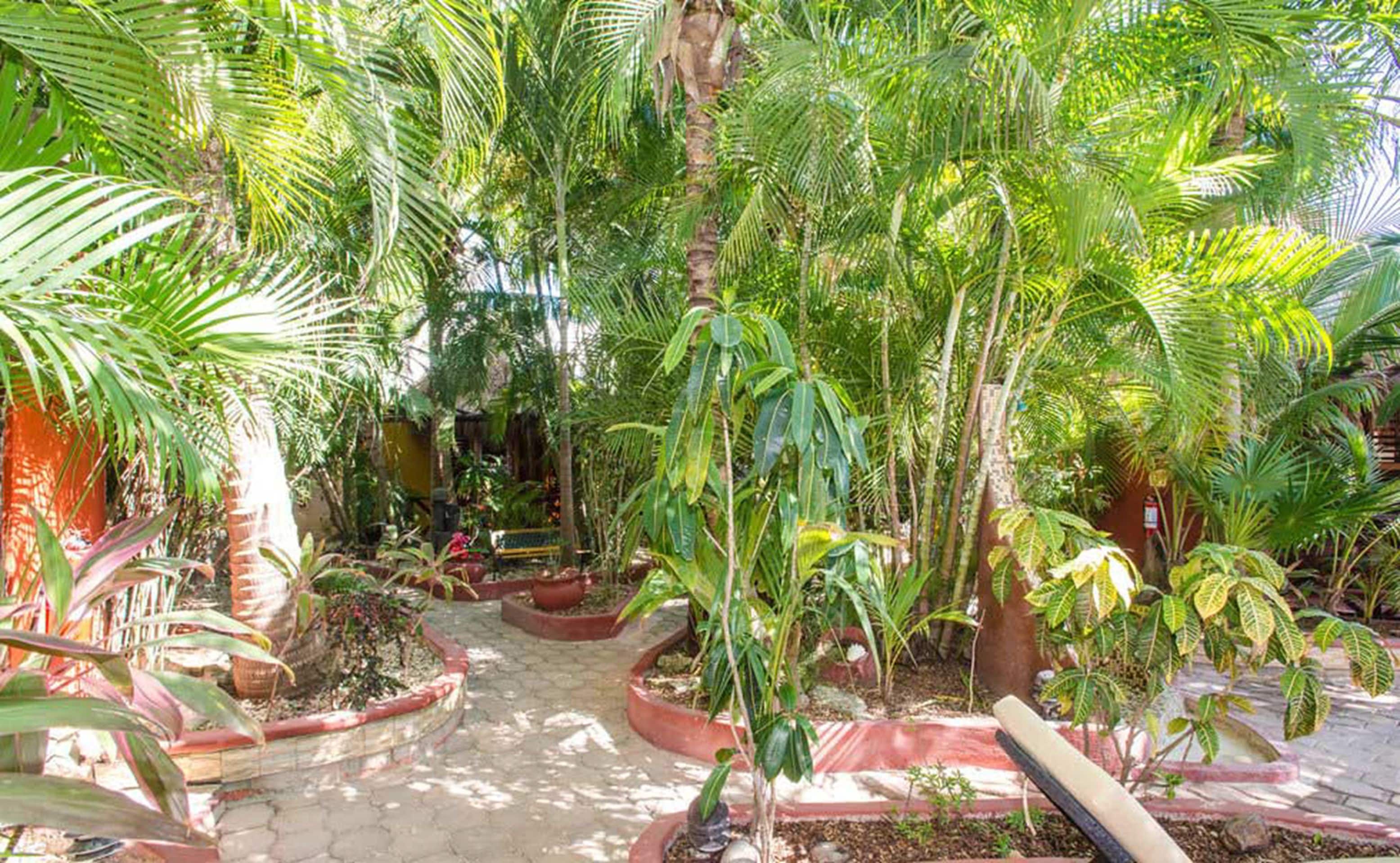 Foto - Cocos Cabañas Playa del Carmen Adults Only