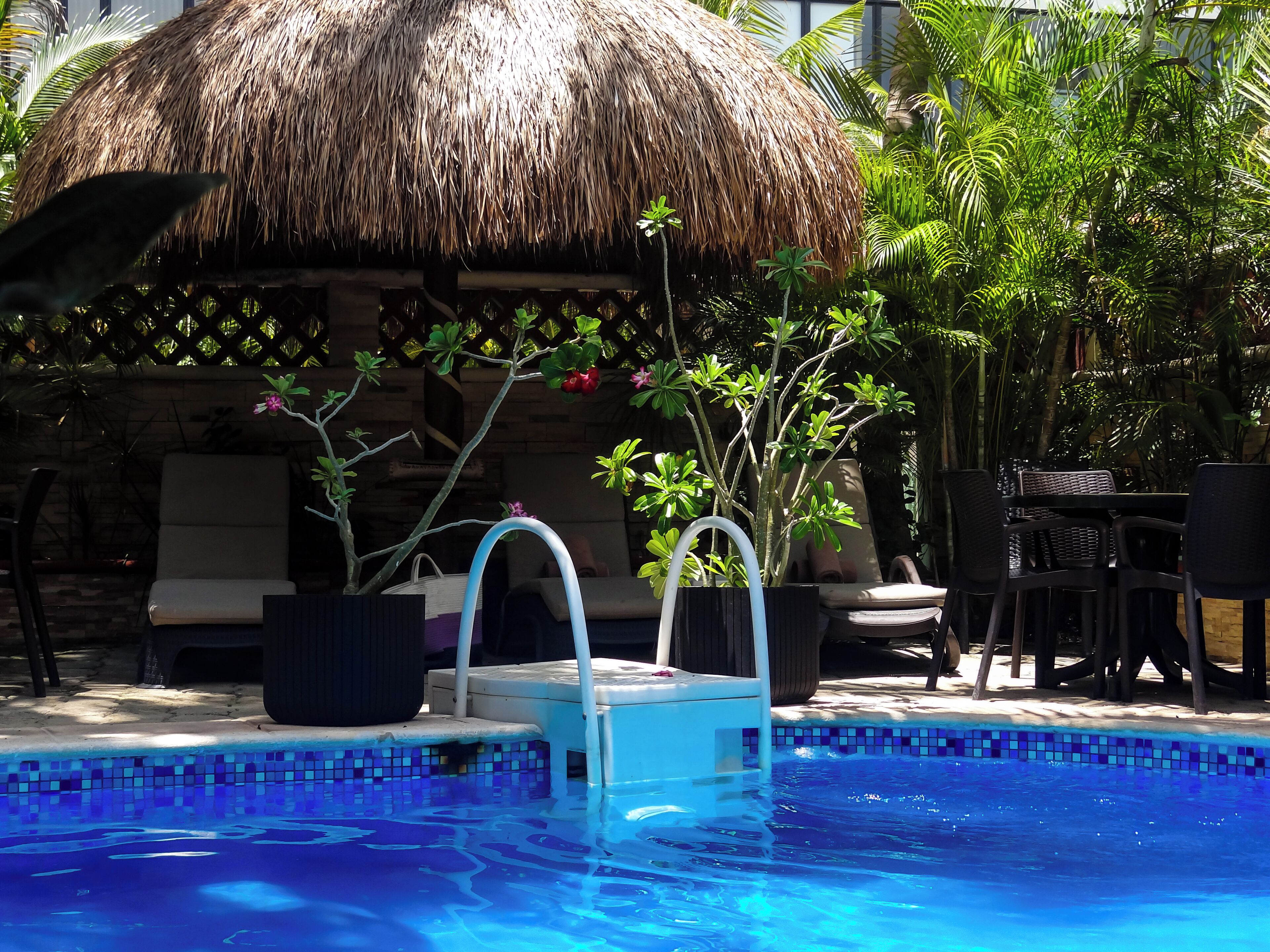 Foto - Cocos Cabañas Playa del Carmen Adults Only