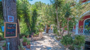 A courtyard with potted plants, a stone pathway, and a signboard. - Porto Koukla Beach Hotel (Zakynthos)