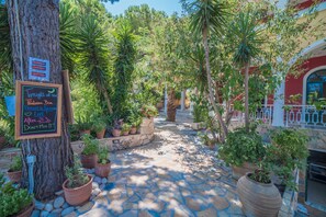 Garden - Porto Koukla Beach Hotel (Zakynthos)