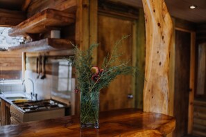 Cabin, 3 Bedrooms, Terrace, Mountain View | Private kitchen | Full-size fridge, electric kettle, cookware/dishes/utensils