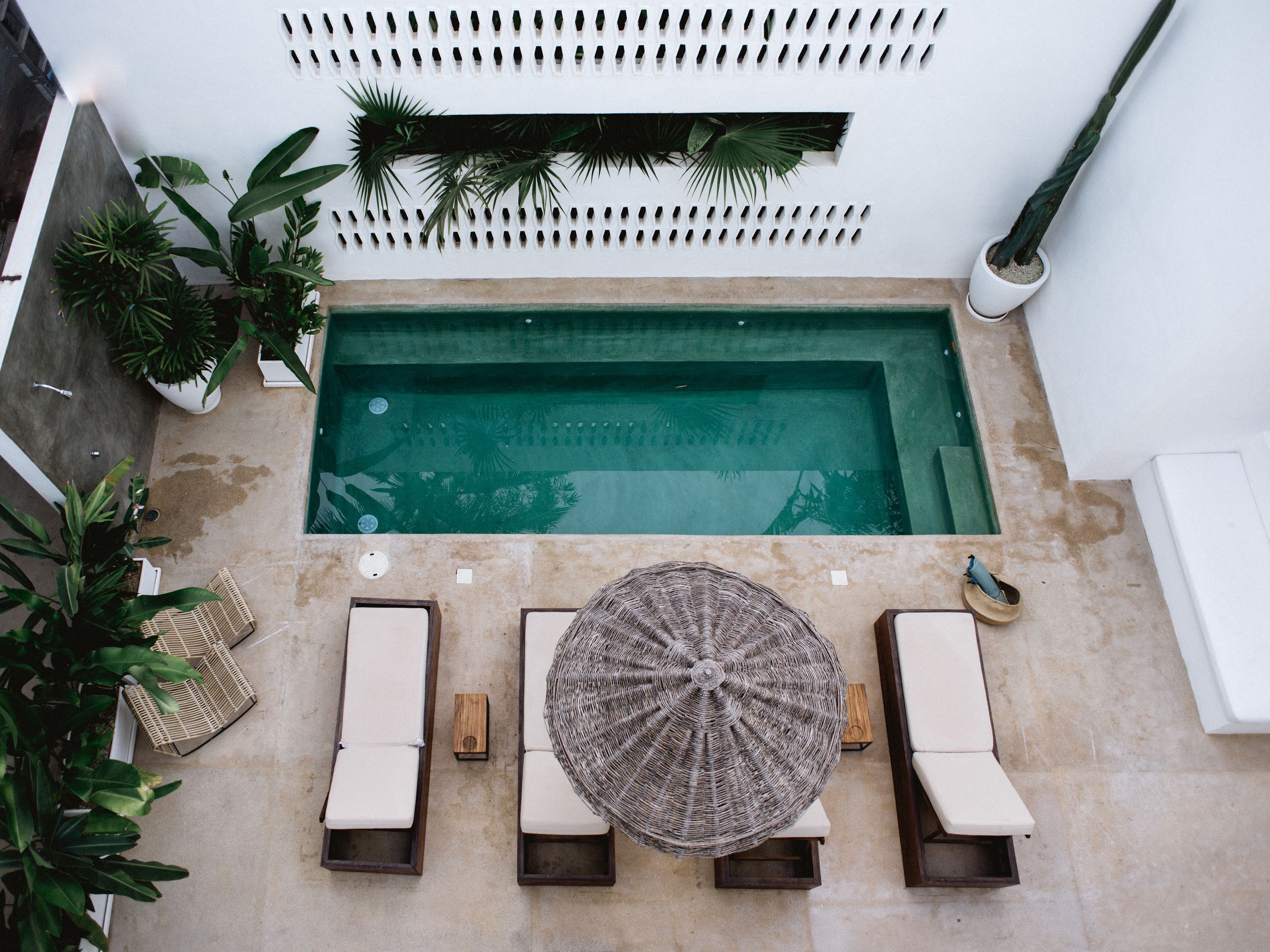 Ein Pool auf dem Dach mit Liegestühlen und einem Tisch, umgeben von Topfpflanzen.