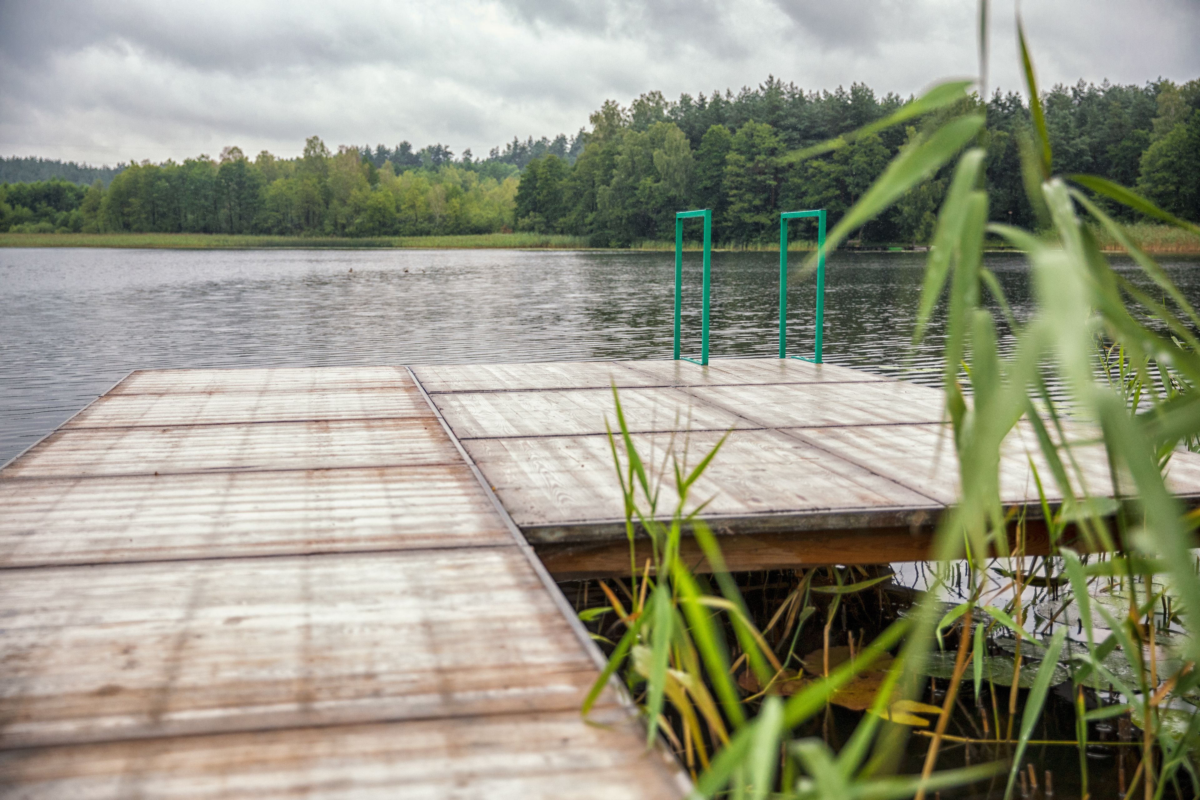 Eine Holzstege ragt in einen See, im Hintergrund eine bewaldete Uferlinie.