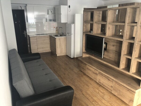 TV - North Yerevan apartment  (Kentron)