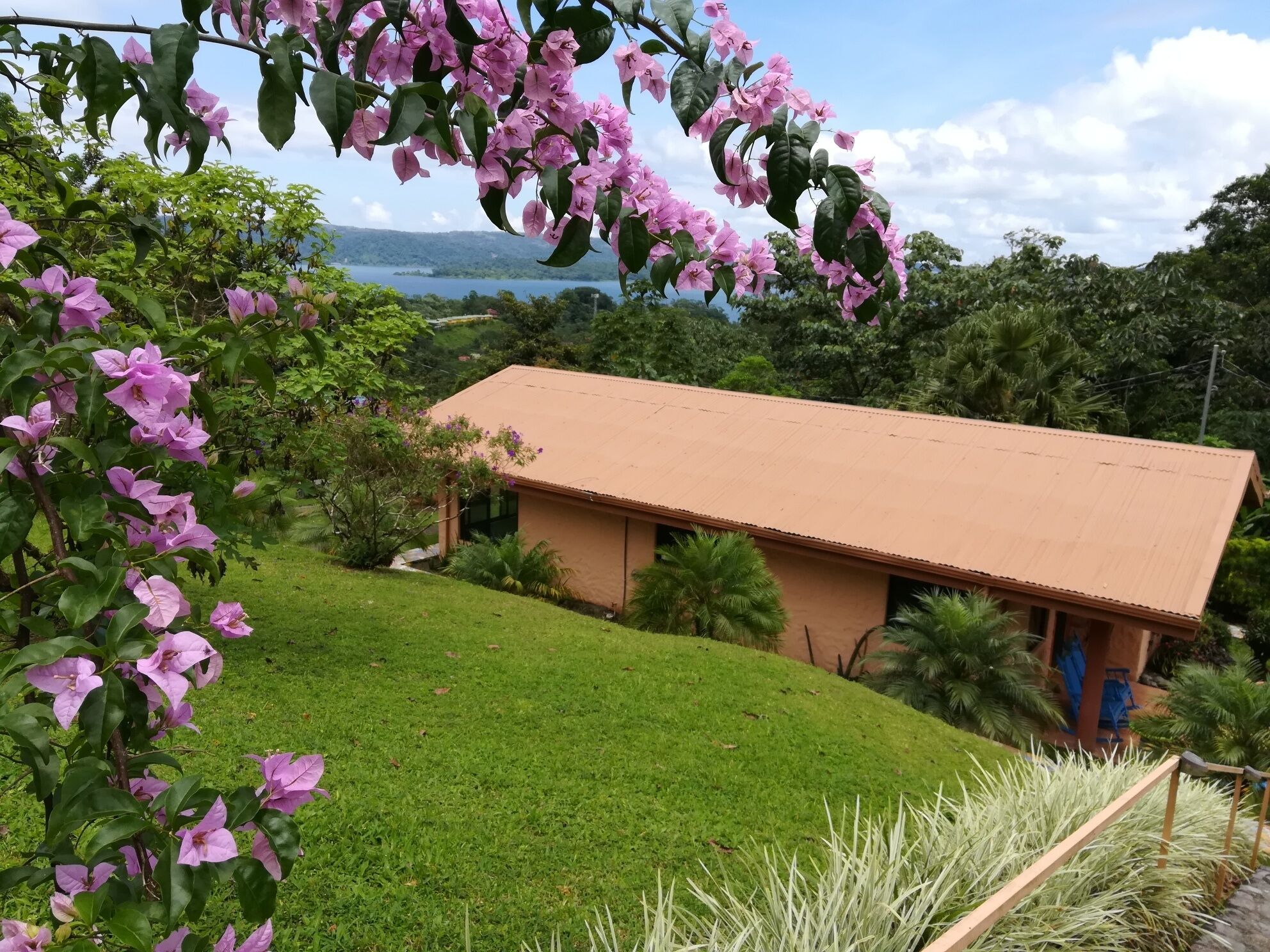 A house with a flat roof, surrounded by lush greenery and pink flowers.