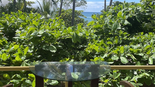 A glass table with wooden chairs in a covered outdoor area with a view of the ocean and palm trees.