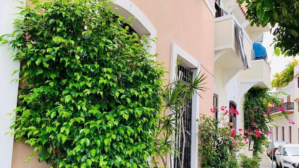 Une rue étroite, bordée de bâtiments des deux côtés, dont certains sont dotés de balcons et de plantes en pot.