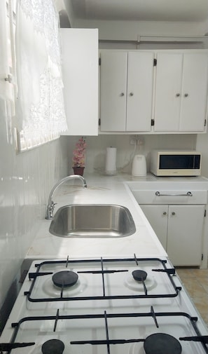 Fridge, microwave, oven, stovetop - Simple Living: Live Like A Local (Mount Helicon)