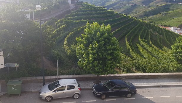 A rural landscape with terraced vineyards and a road with parked cars. - AL Santa Marta de Penaguião (Santa Marta de Penaguião)