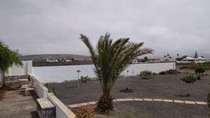 Une terrasse sur le toit offrant une vue sur la mer, avec un palmier et un petit espace aménagé avec un banc et une table.
