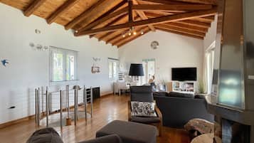 TV, fireplace, DVD player, ping pong