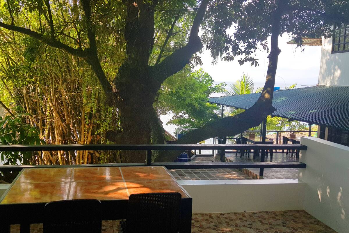 A terrace with a table and chairs, surrounded by lush greenery and a large tree.