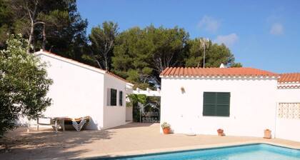 Villa with private pool in Port Addaia . Surrounded by pine trees .