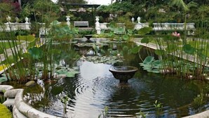 A serene pond with lily pads and a central fountain, surrounded by well-maintained greenery and stone pathways. - Kathmandu Regency Hotel (Kathmandu)