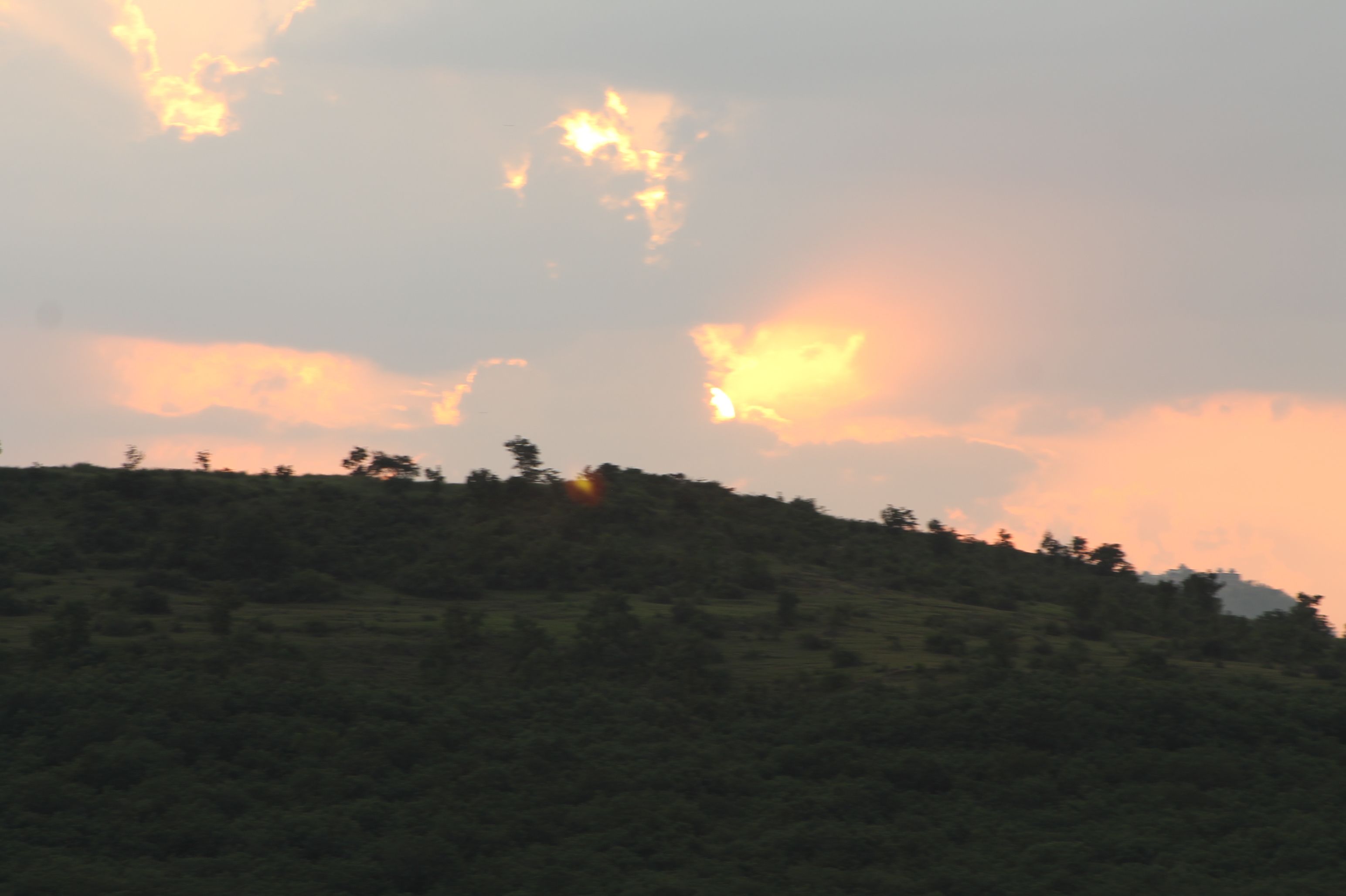 Photo - Nisarg Resort