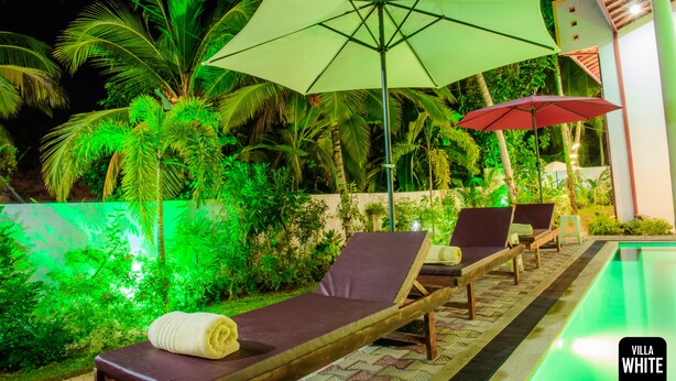 A poolside area with lounge chairs and umbrellas, surrounded by lush greenery and palm trees. - Villa White (Hikkaduwa)