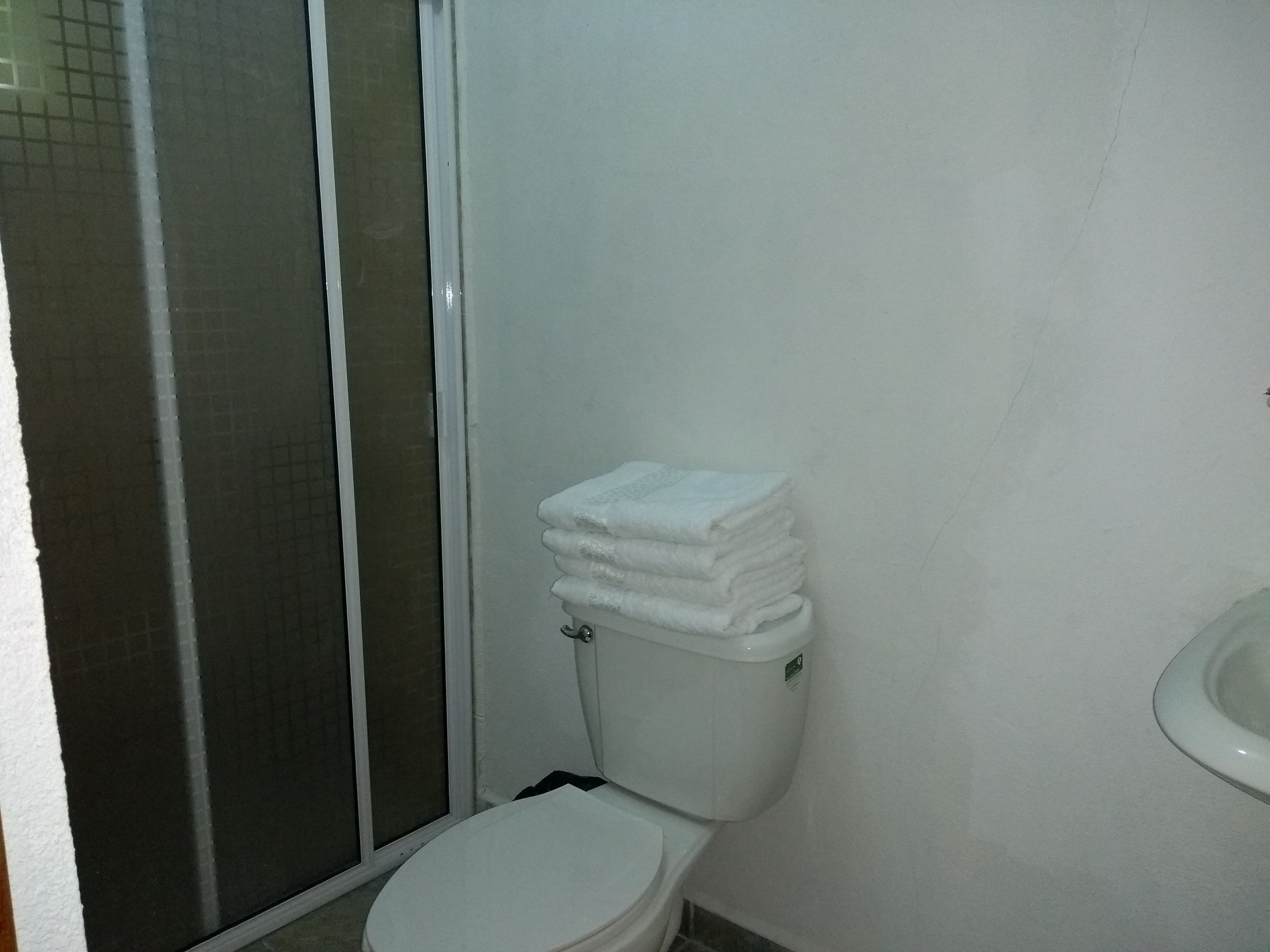 Shower, towels