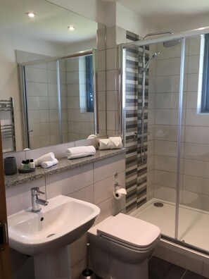 Ein modernes Badezimmer mit einer Duschkabine, einem Waschbecken und einer Toilette.