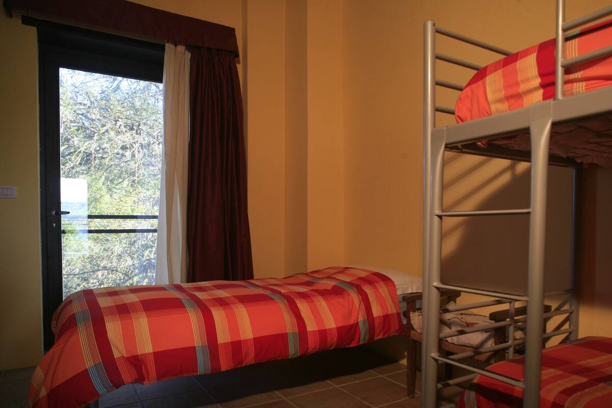 A dormitory room with two bunk beds, a window with curtains, and a view of trees outside.