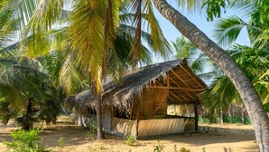 A thatched-roof hut surrounded by palm trees and sandy ground. - Valampuri Kite Resort (Kalpitiya)