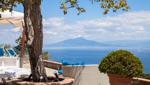 Una terraza con mobiliario de mimbre, una planta en maceta y vistas al mar y a la montaña.