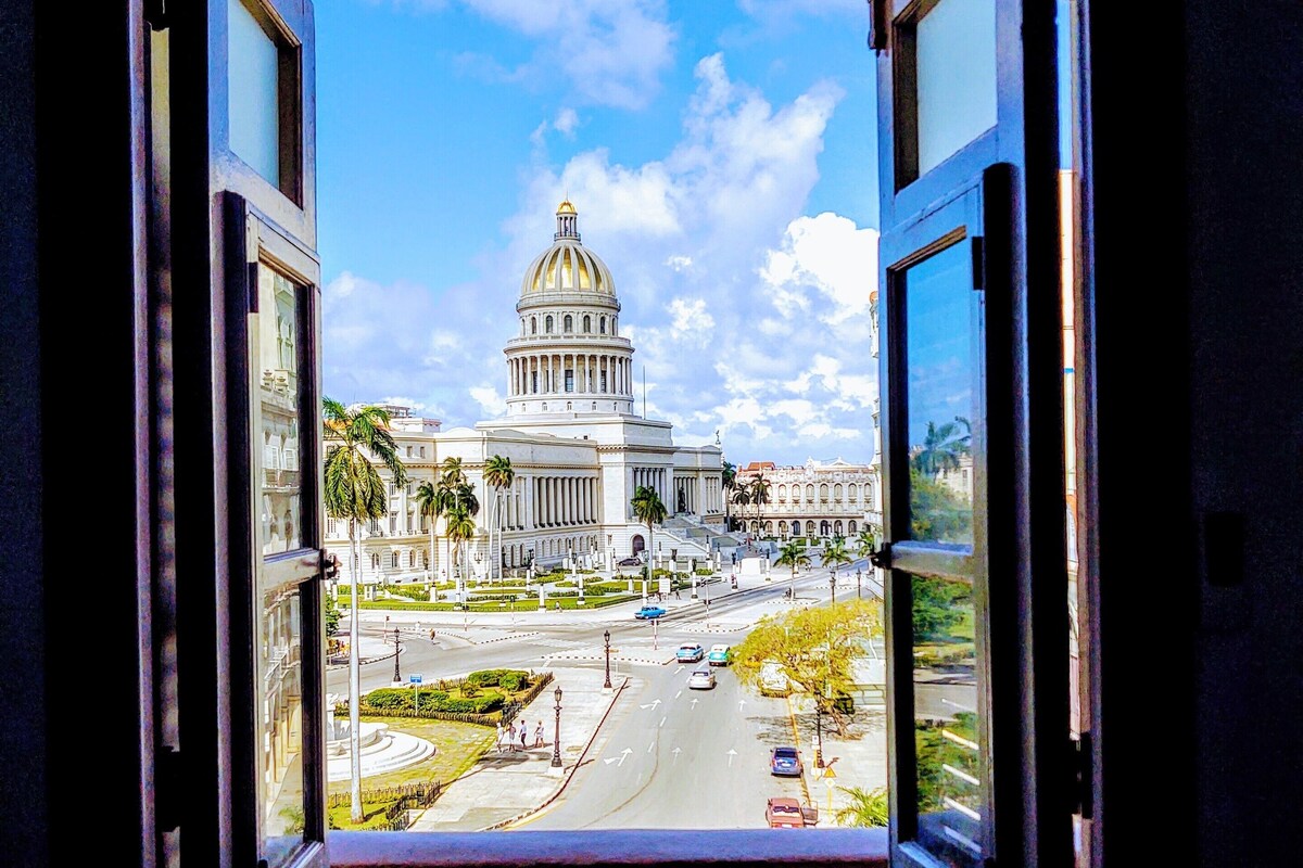 A view through an open door of a building with a large dome, palm trees, and a clear sky.