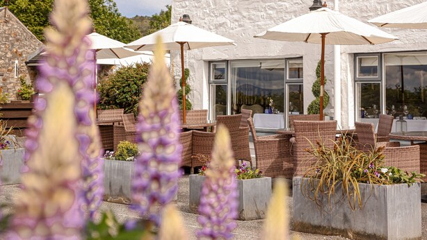 A building with outdoor seating and umbrellas, surrounded by flowering plants. - The Airds Hotel & Restaurant (Appin)
