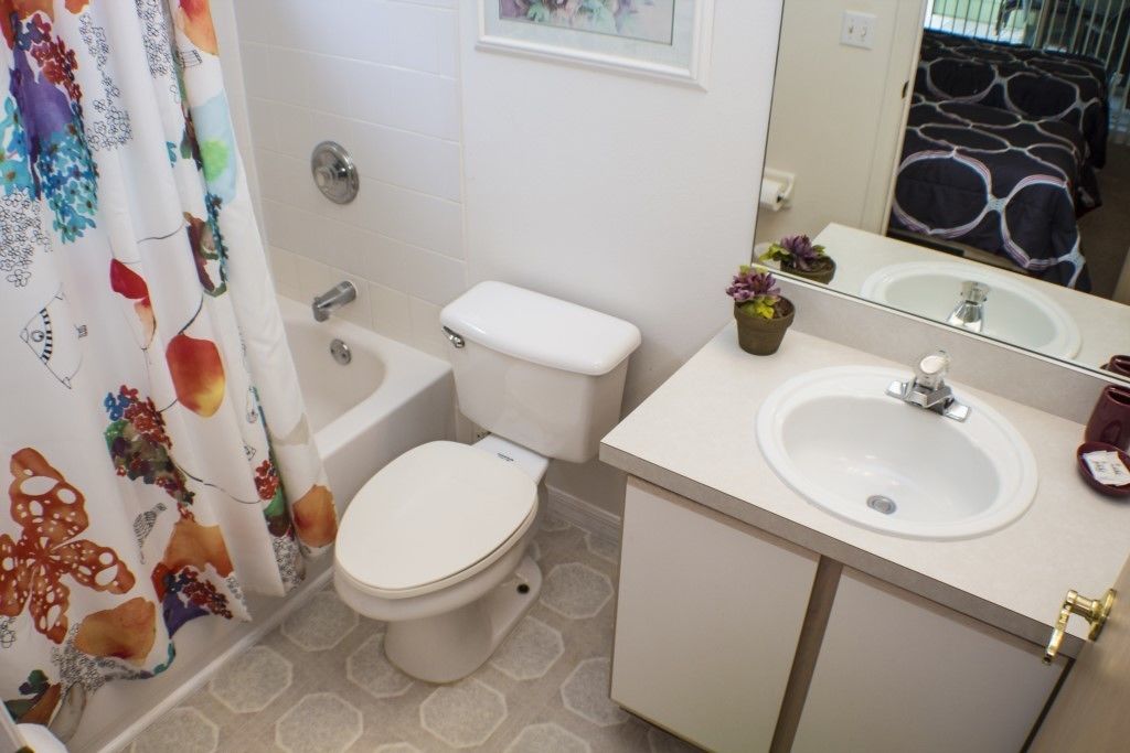 A bathroom with a toilet, sink, and shower curtain.
