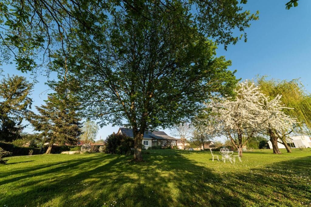A residential property with a large lawn, a house, and a tree with white blossoms.