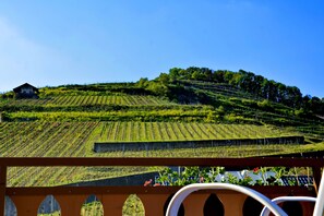 Balcony - Hotel Vulkanstüble (Vogtsburg)