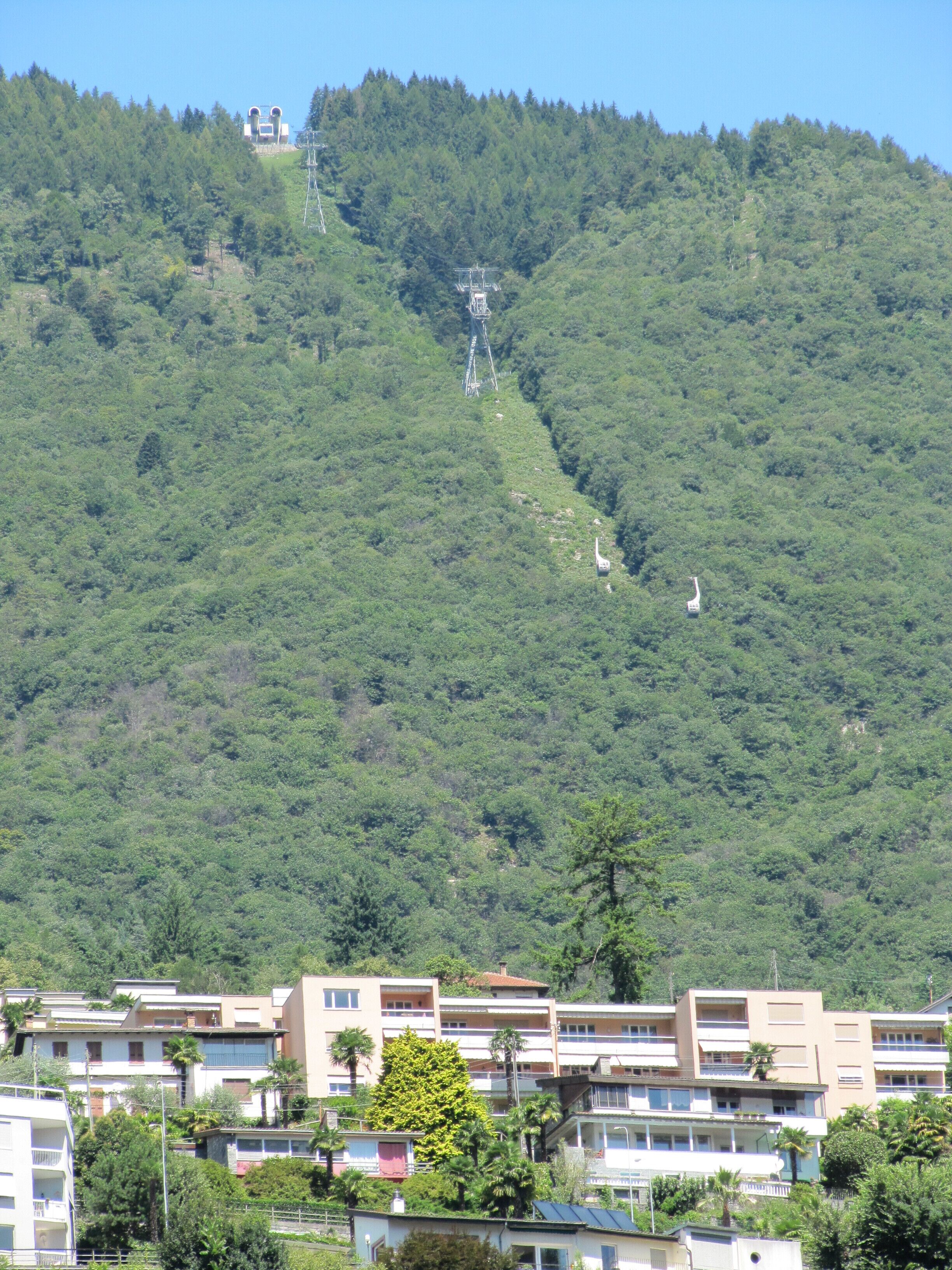 A hillside with a cable car system, residential buildings, and dense forest.