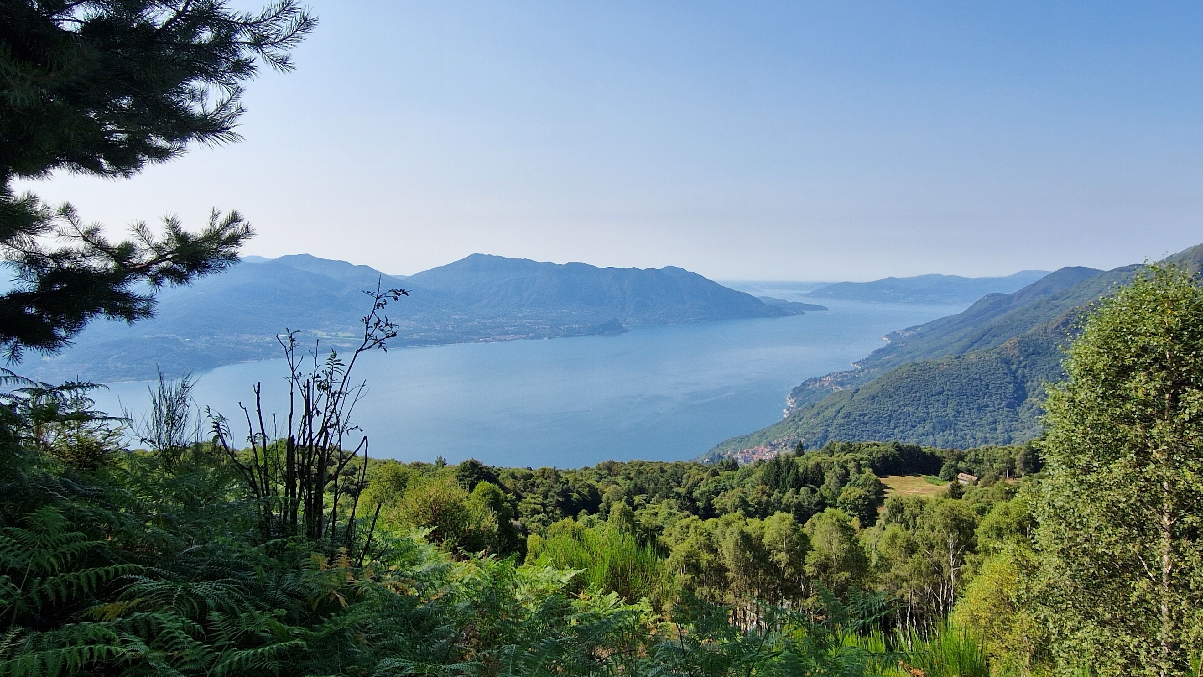 A mountainous landscape with dense forest and a lake.
