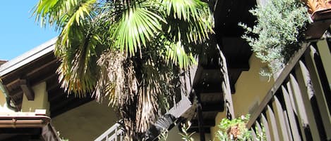 Cortile