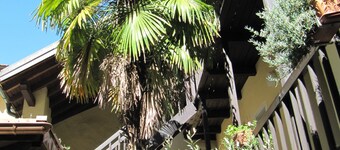 Residenza Motta