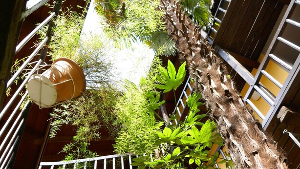 Un área exterior de varios niveles con barandas de madera, abundante vegetación y un pilar rojo.