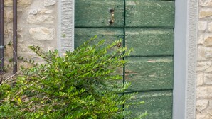 A green wooden door with a metal handle, set within a stone wall with a decorative arch.