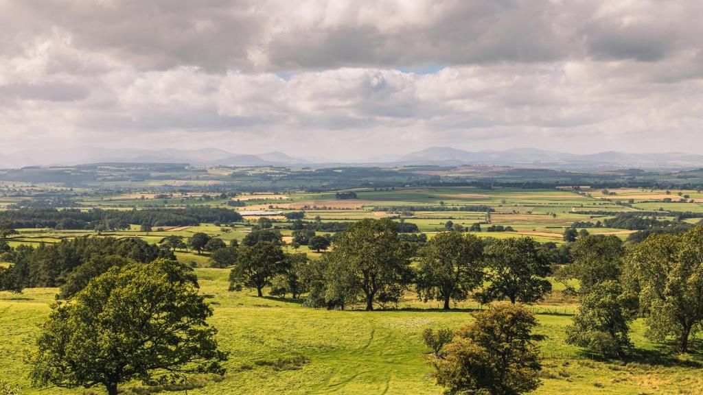A rural landscape with rolling hills, scattered trees, and a distant mountain range under a cloudy sky.