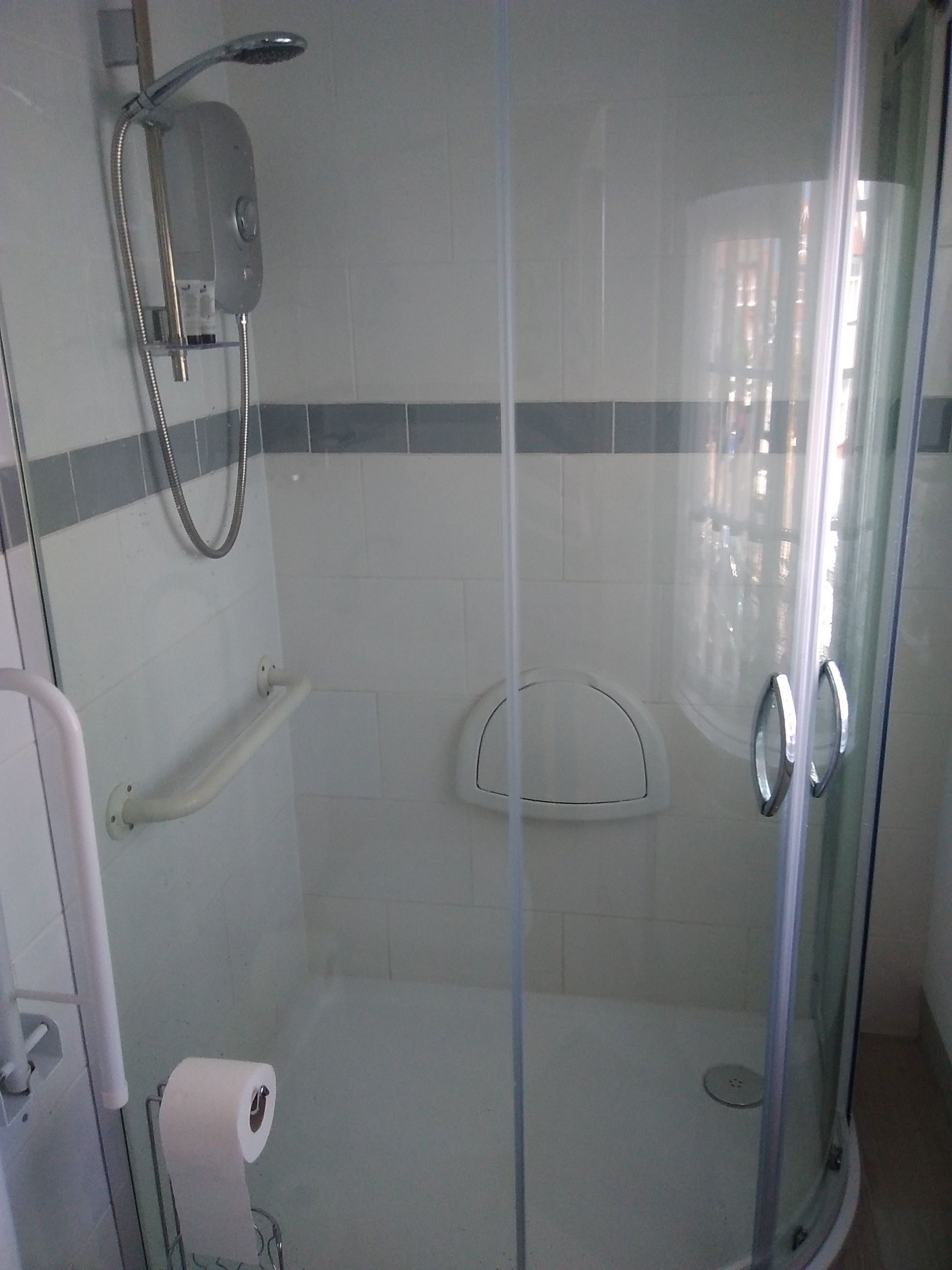 A glass-enclosed shower with a handheld showerhead, a toilet, and a toilet paper holder.