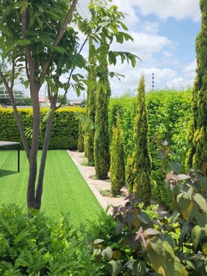 A well-maintained garden with neatly trimmed hedges and a variety of shrubs. - Cycad Palm Hotel (Serowe)